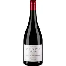 Zuccardi Polígono Gualtallary Malbec Zuccardi Polígono Gualtallary Malbec