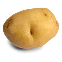 Kartoffeln mehlig Kartoffeln mehlig