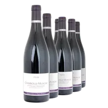 2020 Chambolle-Musigny Premier Cru AC Les Groseilles 2020 Chambolle-Musigny Premier Cru AC Les Groseilles