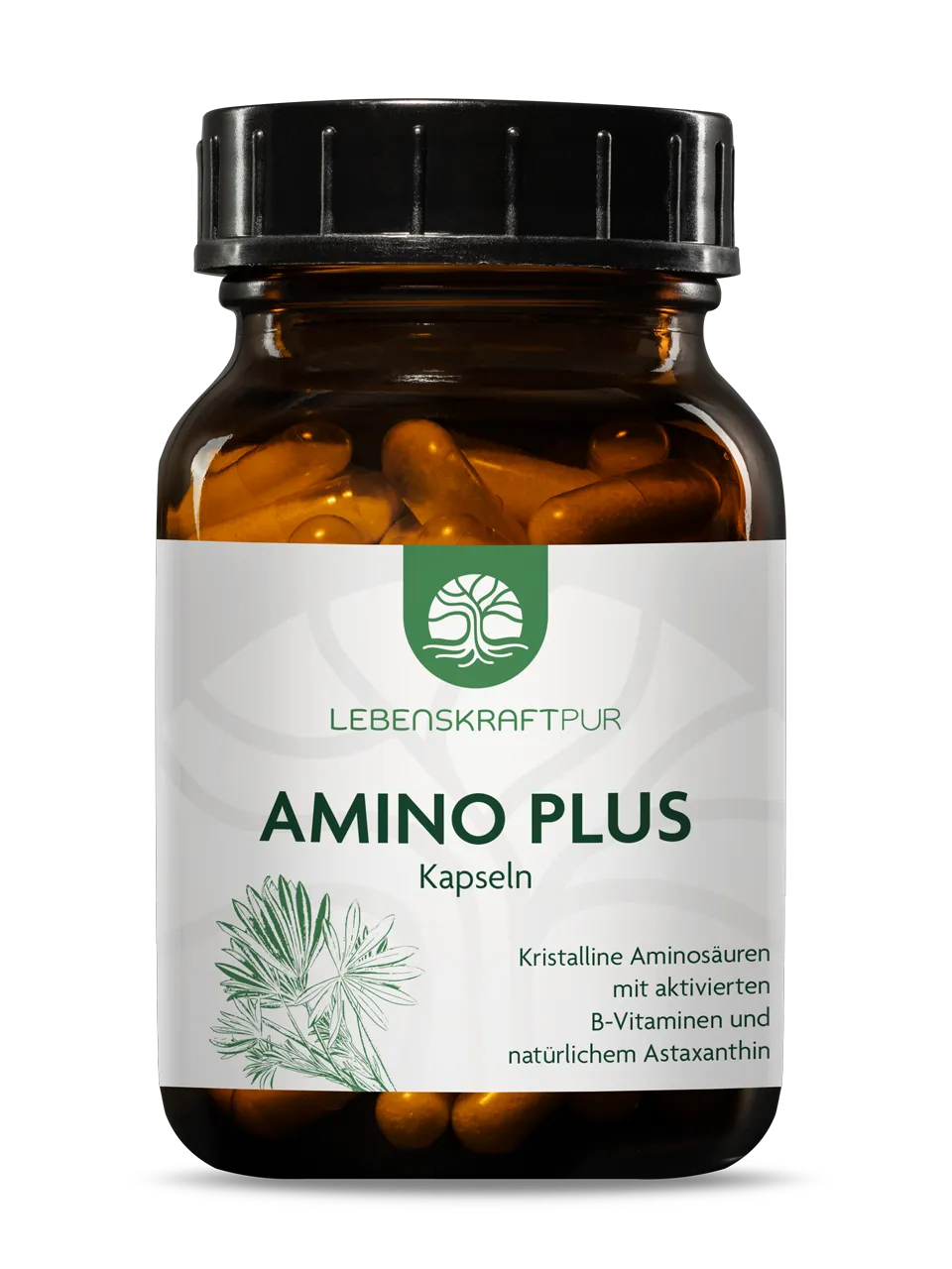 Amino Plus Kapseln Amino Plus Kapseln