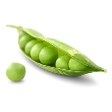 Erbsen Erbsen
