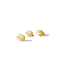 Pastificio Gentile Gentile Gnocchetti Pasta di Gragnano IGP