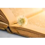 Crochet Fundamentals: Beginner & Intermediate Class – Fairview Public Library Crochet Fundamentals: Beginner & Intermediate Class – Fairview Public Library