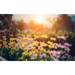 Guided Garden Tours – Atlanta Botanical Garden Guided Garden Tours – Atlanta Botanical Garden