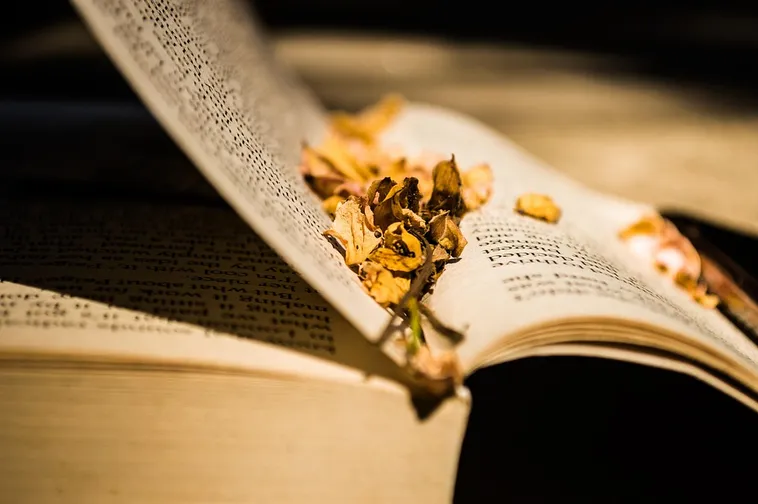 Graphic Novel Book Club – Cochran Public Library Graphic Novel Book Club – Cochran Public Library