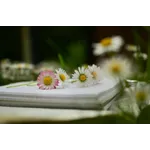 Create Your Custom Library Card – Locust Grove Library Create Your Custom Library Card – Locust Grove Library