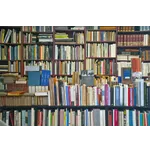 Explore and Discover: Adult Library Scavenger Hunt – McDonough Public Library Explore and Discover: Adult Library Scavenger Hunt – McDonough Public Library