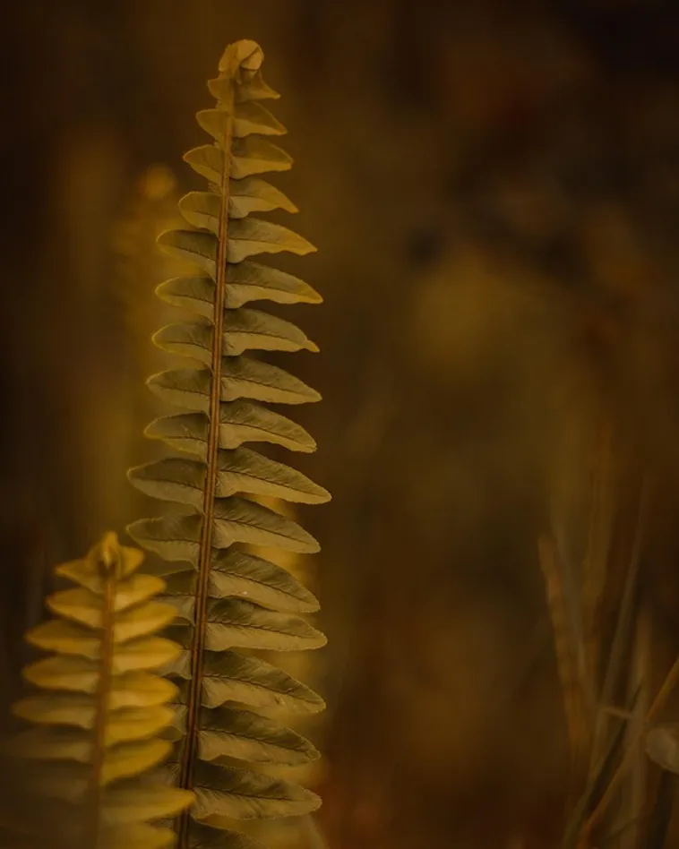 Sensory Exploration Morning – Fernbank Museum Sensory Exploration Morning – Fernbank Museum