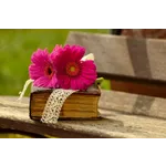 Baby Storytime Adventures – Cochran Public Library Baby Storytime Adventures – Cochran Public Library