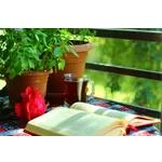 Toddler Storytime Adventure – McDonough Public Library Toddler Storytime Adventure – McDonough Public Library