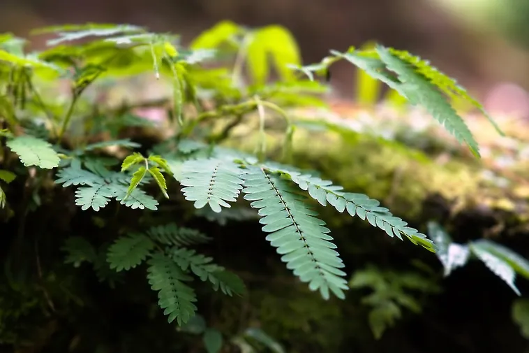 Fright Night: An Evening of Spooky Science – Fernbank Museum Fright Night: An Evening of Spooky Science – Fernbank Museum