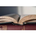 Toddler Playtime Adventures – McDonough Public Library Toddler Playtime Adventures – McDonough Public Library