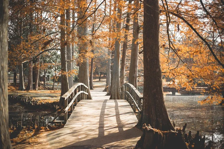 Explore the Beauty: Drop-In Garden Tours – Atlanta Botanical Garden Explore the Beauty: Drop-In Garden Tours – Atlanta Botanical Garden