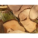 Exploring Mixed Media Portraiture – High Museum Exploring Mixed Media Portraiture – High Museum