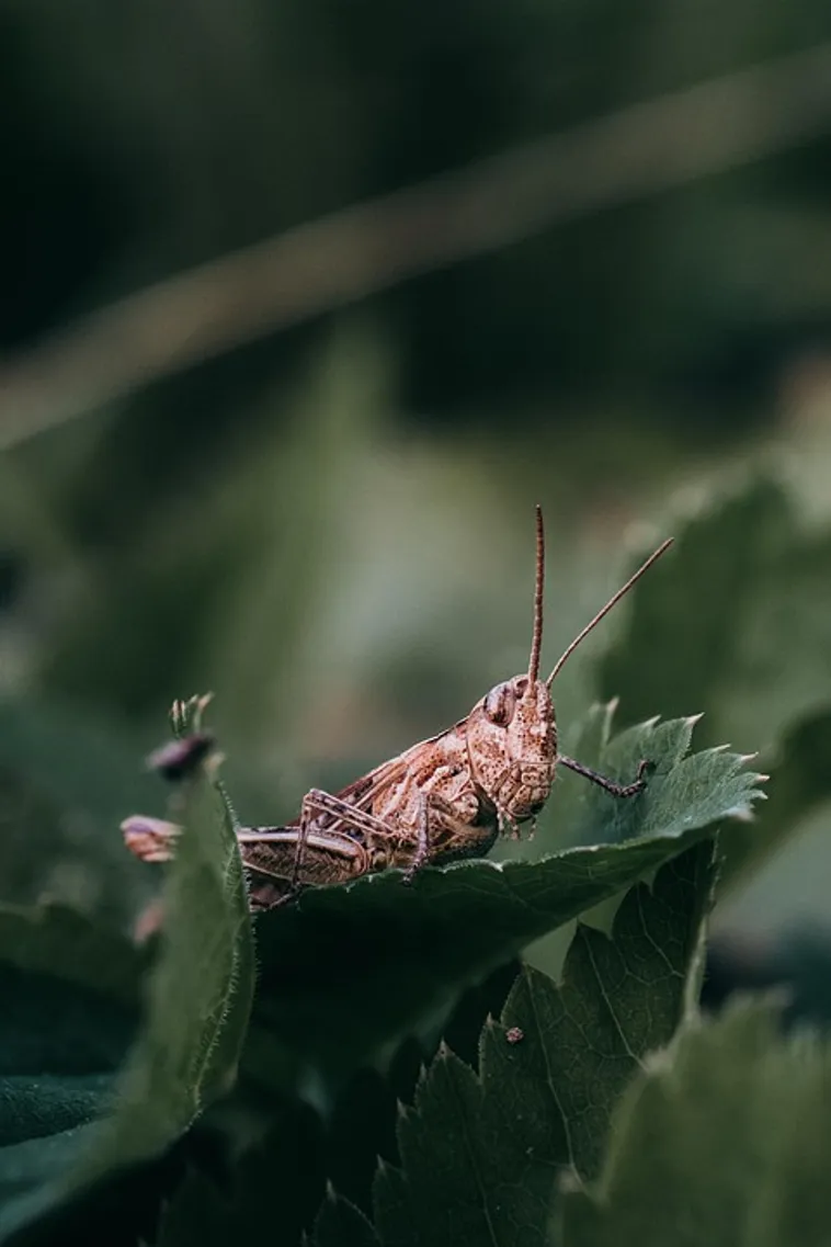 Coaster Design Workshop with Glad & Young Studio – High Museum Coaster Design Workshop with Glad & Young Studio – High Museum