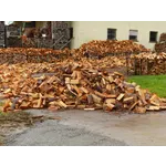 Access for All: Enhancing Inclusivity – High Museum Access for All: Enhancing Inclusivity – High Museum