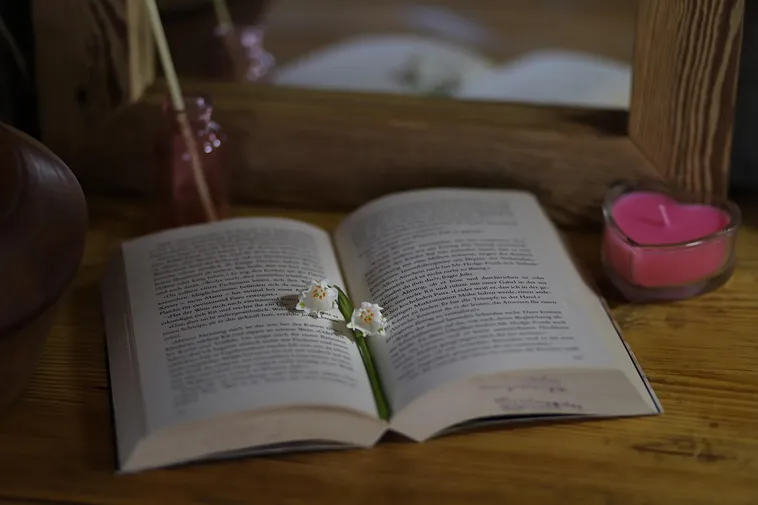 Create Your Custom Library Card – Locust Grove Library Create Your Custom Library Card – Locust Grove Library