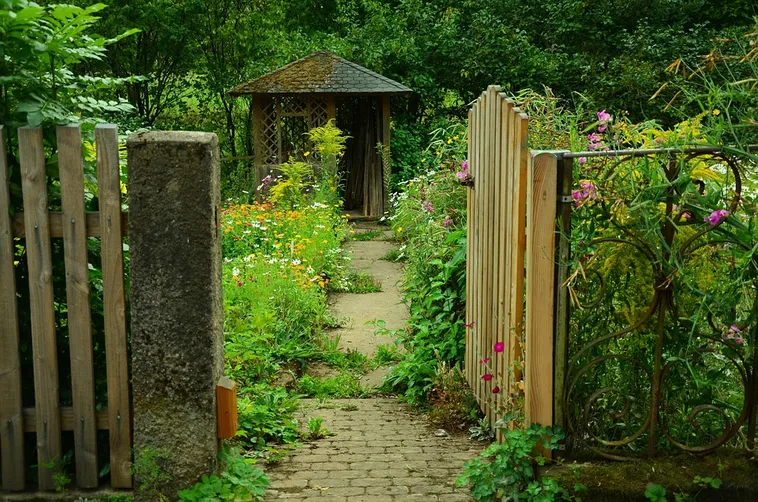 Explore the Beauty: Drop-In Garden Tours – Atlanta Botanical Garden Explore the Beauty: Drop-In Garden Tours – Atlanta Botanical Garden