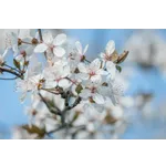 Garden Playtime Adventure – Atlanta Botanical Garden Garden Playtime Adventure – Atlanta Botanical Garden