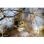 Capturing Nature: Smartphone Flower Photography Workshop – Atlanta Botanical Garden Capturing Nature: Smartphone Flower Photography Workshop – Atlanta Botanical Garden