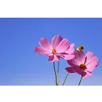 Fall Family Fun at the Atlanta Botanical Garden – Atlanta Botanical Garden Fall Family Fun at the Atlanta Botanical Garden – Atlanta Botanical Garden