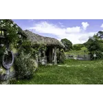 Exploring the Unexpected: Error Page Insights – Fernbank Exploring the Unexpected: Error Page Insights – Fernbank