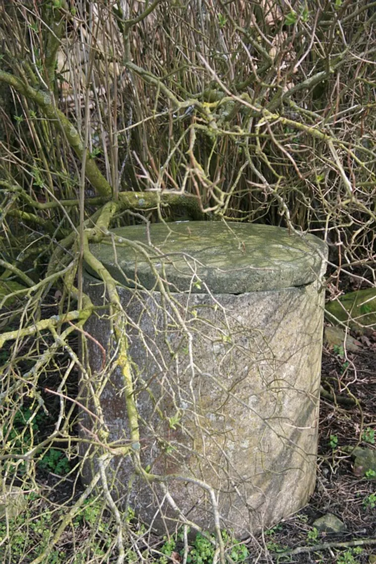 Exploring Mixed Media Illustration – High Museum Exploring Mixed Media Illustration – High Museum