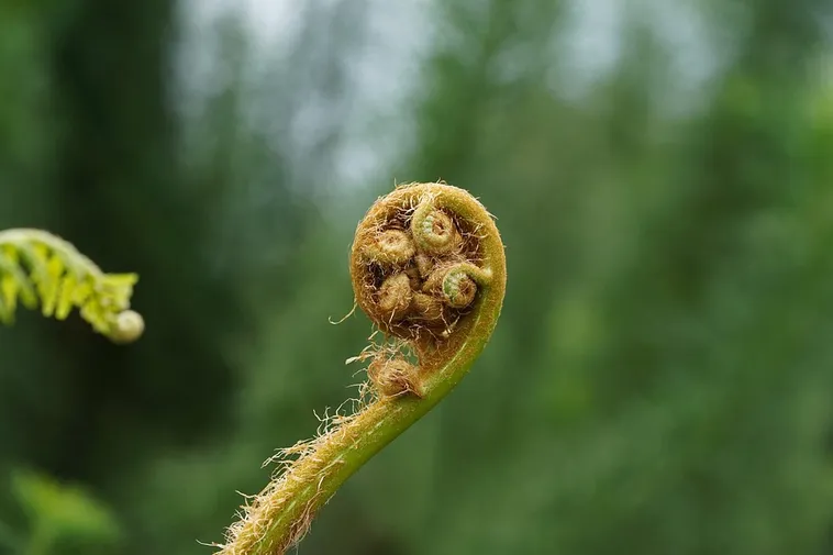 Explore the Wonders: Orkin Discovery Zone at Fernbank Museum of Natural History! Explore the Wonders: Orkin Discovery Zone at Fernbank Museum of Natural History!