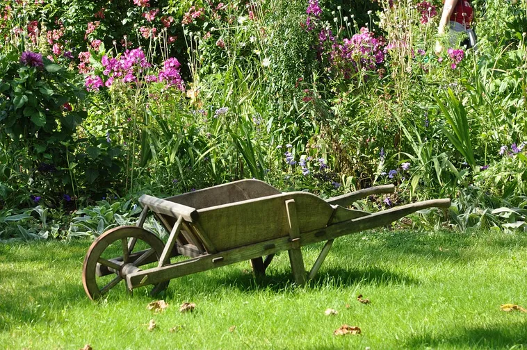 Explore Nature: Drop-In Garden Tours – Atlanta Botanical Garden Explore Nature: Drop-In Garden Tours – Atlanta Botanical Garden
