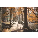 Explore the Beauty: Drop-In Garden Tours – Atlanta Botanical Garden Explore the Beauty: Drop-In Garden Tours – Atlanta Botanical Garden