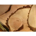 Reflections on Experience: Artistic Insights – High Museum Reflections on Experience: Artistic Insights – High Museum