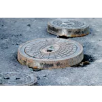 Monthly Exhibition Tour: The Lost World – The Art of Minnie Evans – High Museum Monthly Exhibition Tour: The Lost World – The Art of Minnie Evans – High Museum