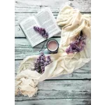 Homeschool STEAM Exploration – Fairview Public Library Homeschool STEAM Exploration – Fairview Public Library