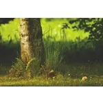 Sensory Morning Experience – Fernbank Museum Sensory Morning Experience – Fernbank Museum