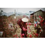 Enchanting Storytime Adventure – Atlanta Botanical Garden Enchanting Storytime Adventure – Atlanta Botanical Garden