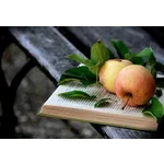 Creative Writing Workshop – Locust Grove Library Creative Writing Workshop – Locust Grove Library