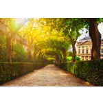 Orchid Elegance: A Celebration of Nature – Atlanta Botanical Garden Orchid Elegance: A Celebration of Nature – Atlanta Botanical Garden