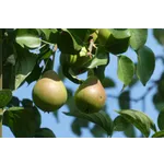 Toddler Art Exploration – High Museum Toddler Art Exploration – High Museum