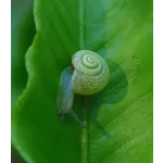 Discover the Magic of Tiny Doors at Fernbank Museum of Natural History! Discover the Magic of Tiny Doors at Fernbank Museum of Natural History!