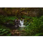 Wildlife Wonders: A Live Animal Encounter – Fernbank Museum Wildlife Wonders: A Live Animal Encounter – Fernbank Museum