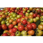 Fabric Dyeing Fundamentals – High Museum Fabric Dyeing Fundamentals – High Museum