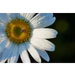 Enchanted Tales: Storybook Time – Atlanta Botanical Garden Enchanted Tales: Storybook Time – Atlanta Botanical Garden