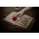 A Walk in the Woods: Book Club Discussion – McDonough Public Library A Walk in the Woods: Book Club Discussion – McDonough Public Library