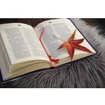 Wildlife Wednesday Exploration – Cochran Public Library Wildlife Wednesday Exploration – Cochran Public Library