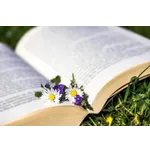 International Dot Day Gallery Week – Locust Grove Library International Dot Day Gallery Week – Locust Grove Library