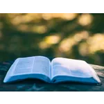 Paint a Dot: International Dot Day Gallery Week – Locust Grove Library Paint a Dot: International Dot Day Gallery Week – Locust Grove Library