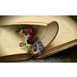 Exploring Homeschool STEAM: Innovative Learning Experiences – Fairview Public Library Exploring Homeschool STEAM: Innovative Learning Experiences – Fairview Public Library