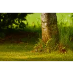 Roars and Wonders Await at Fernbank’s Dinosaur Plaza! Roars and Wonders Await at Fernbank’s Dinosaur Plaza!