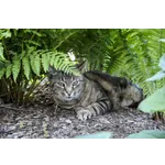 Explore the Wonders of the Sea at the Fernbank World of Shells! Explore the Wonders of the Sea at the Fernbank World of Shells!