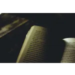 Exploring Homeschool STEAM Education – Fairview Public Library Exploring Homeschool STEAM Education – Fairview Public Library